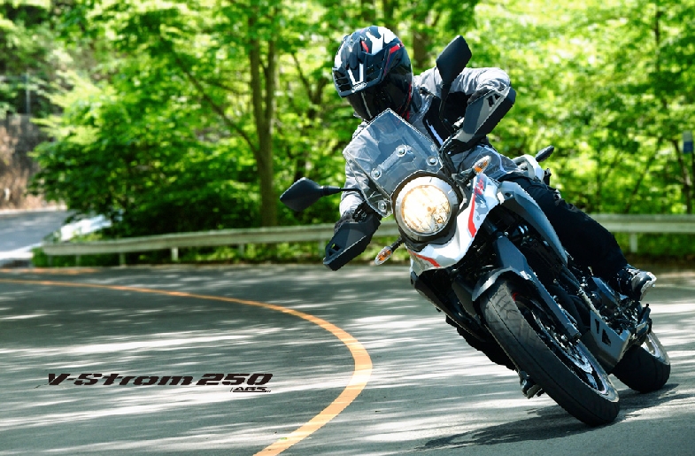 p_V-Strom250_04_1024_768.jpg