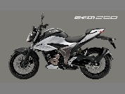 productdetailimg_gsx250rlm0_top01.jpg